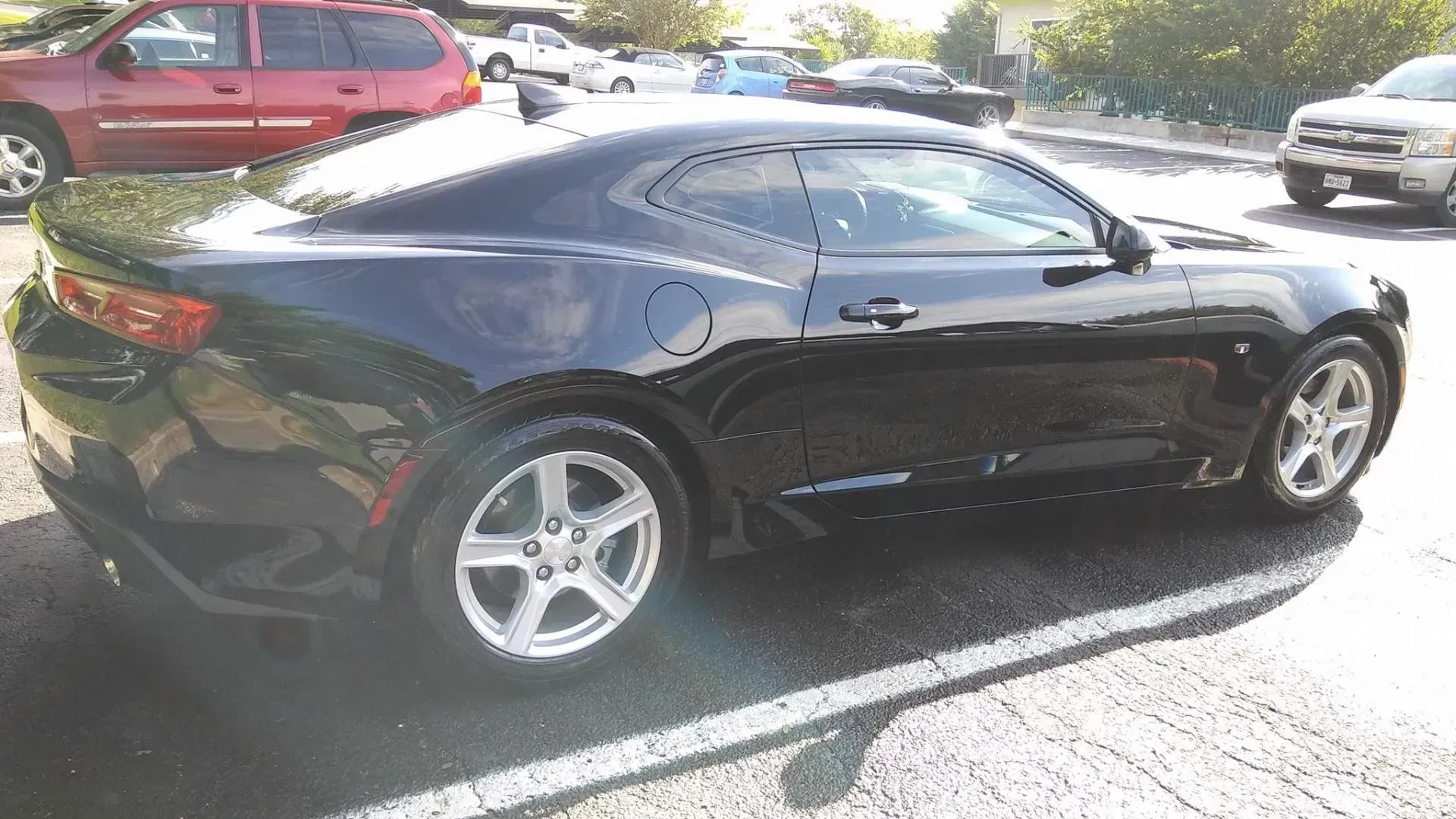 Auto Detailing
